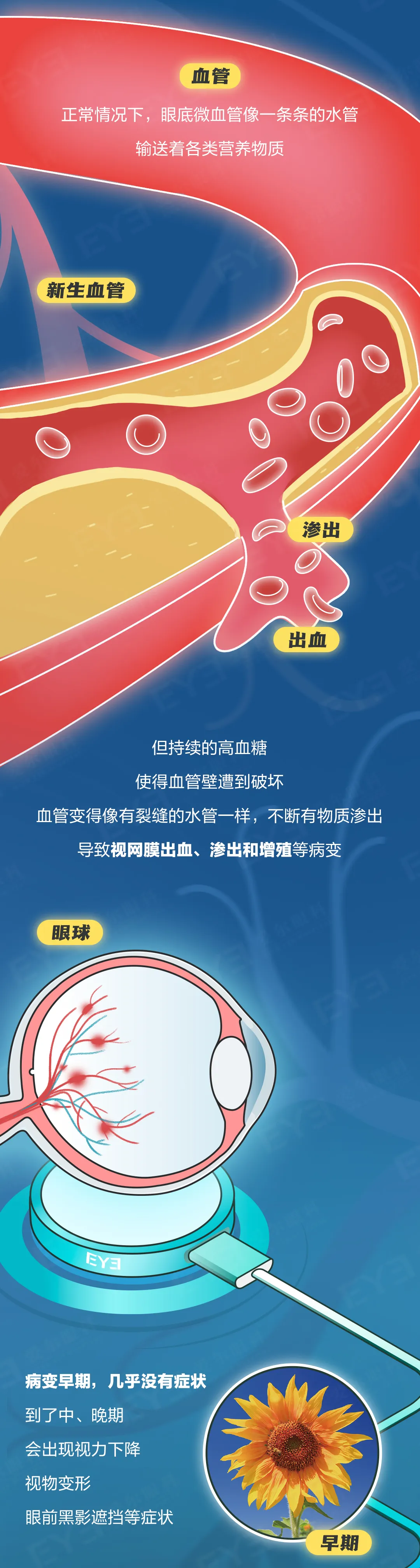 圖片.png
