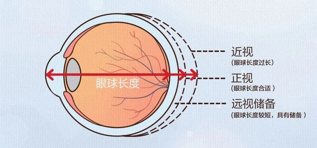 圖片.png