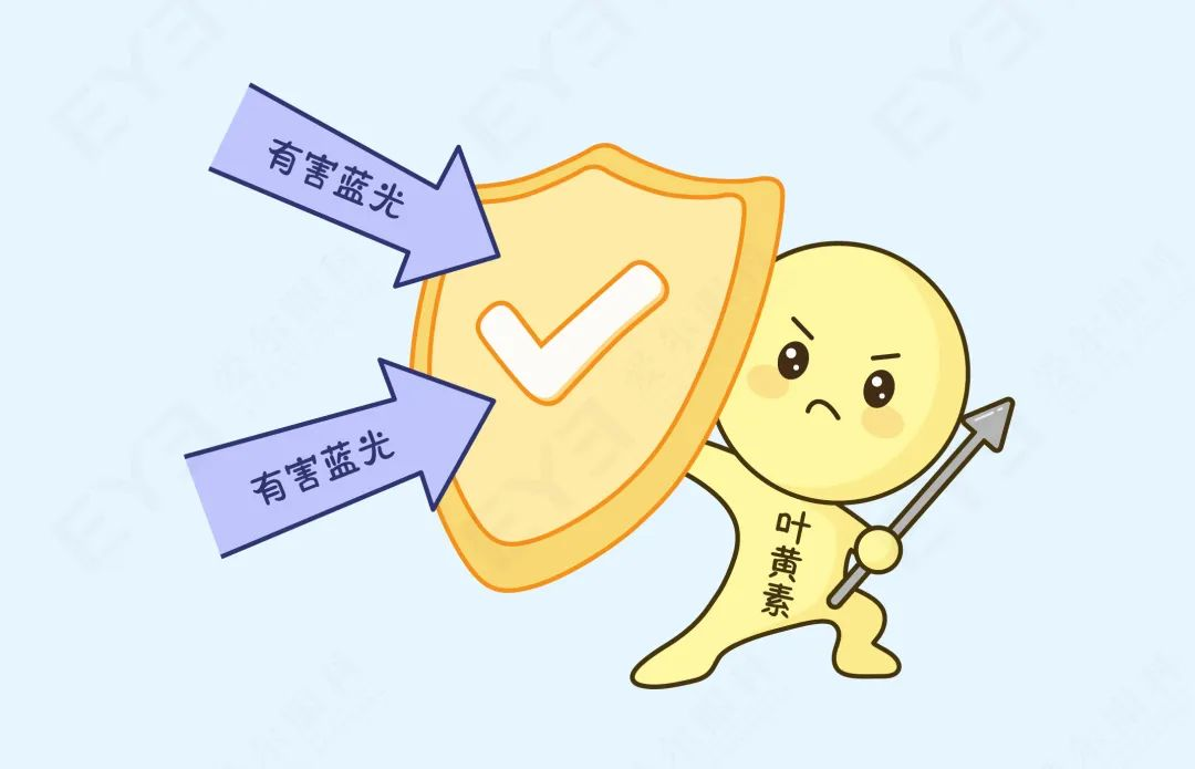 圖片.png